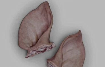 Frozen Pork Wholesale